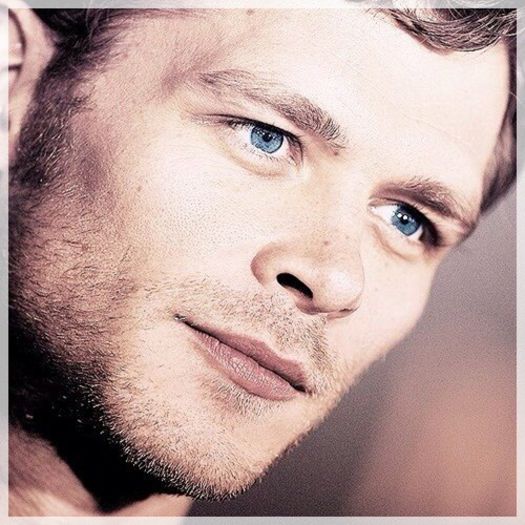 █ ▄→ mda, şi iată că suntem întrerupţi de minunata mea soră -click-; să mergem jos să vedem ce vrea  , deşi tare-mi e că discuţia se va termina cu un pumnal în pieptul ei plus un somn în coşciug.
