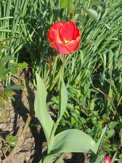 DSCN1123_060