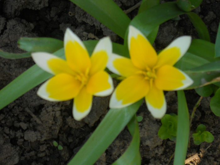DSCN1124_061