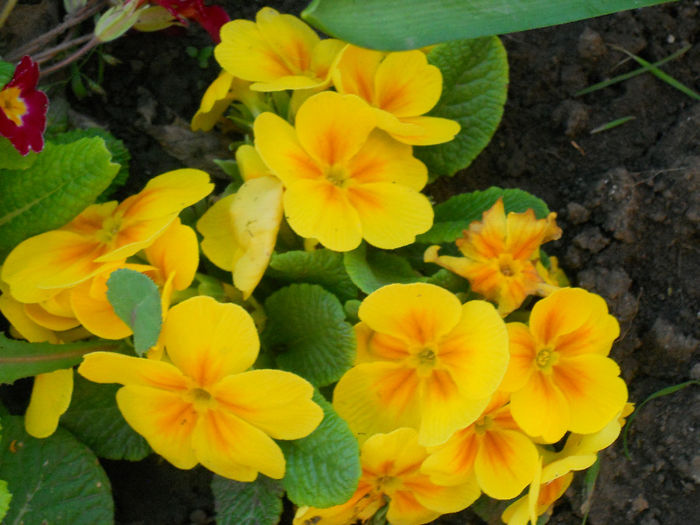 DSCN1139_076