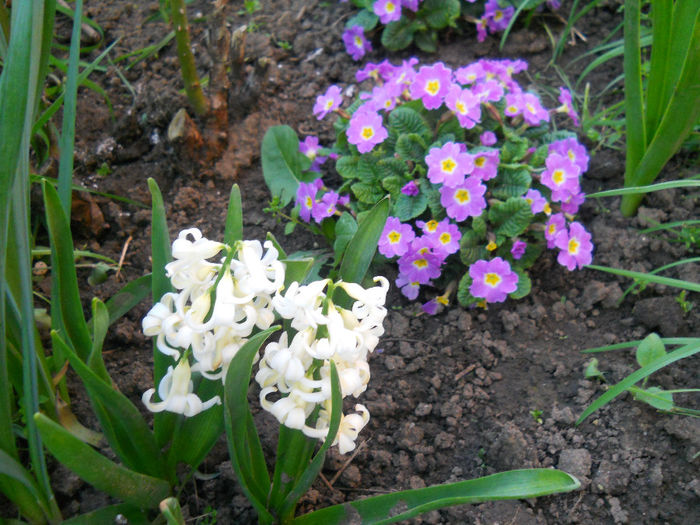 DSCN1140_077