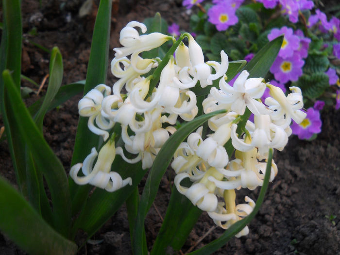 DSCN1141_078