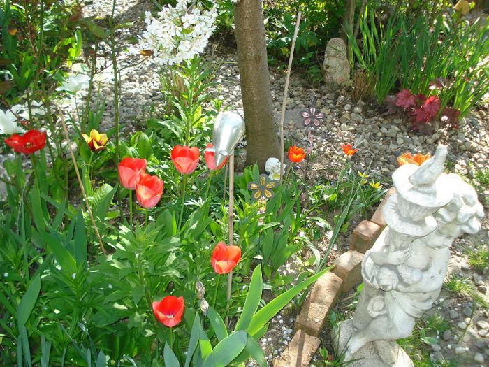 DSC05925 - Gradina in 2014