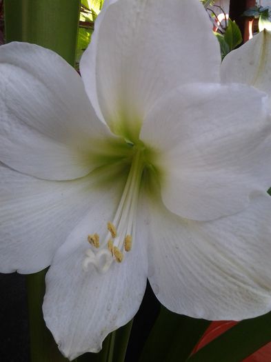 20140409_090711