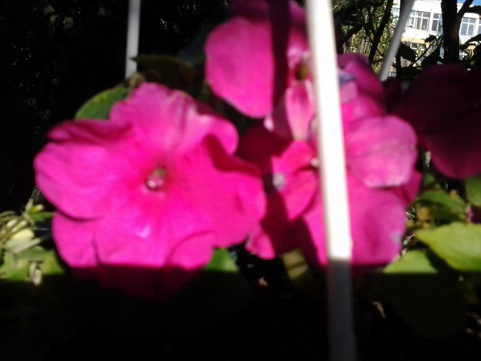 20140409_090701