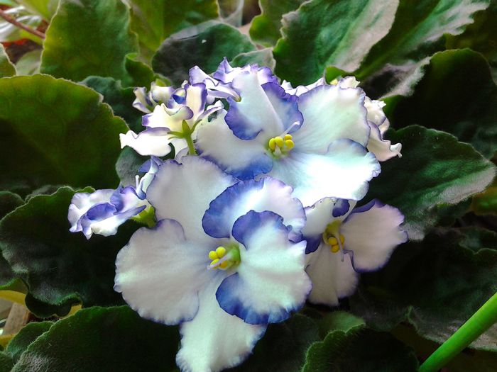 20140408_110325