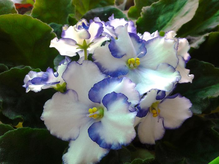 20140409_090300