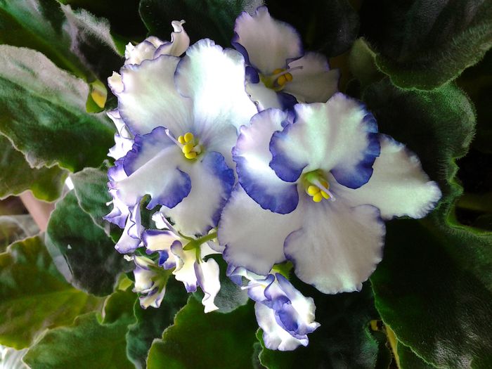 20140408_110332
