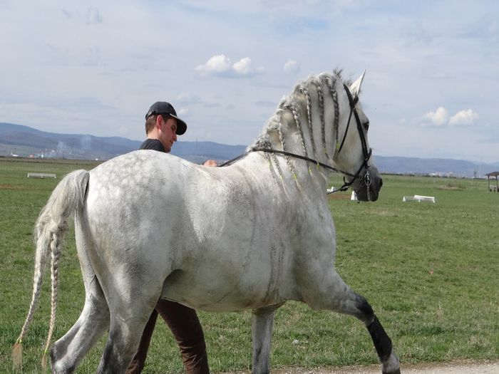  - Santtos Andaluz Sold