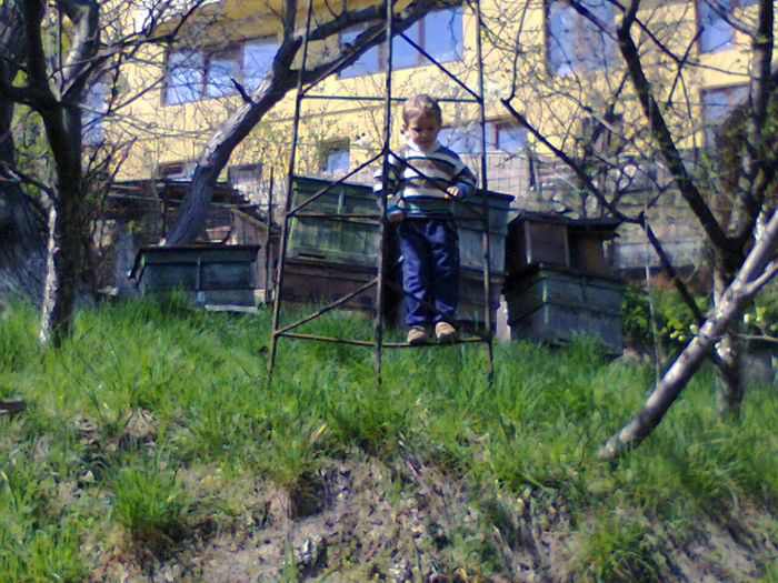 Poze din telefon 040