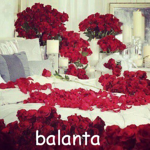 xgeniiuskalam - balanta - Tu spui zodia eu pun poza --- joculet