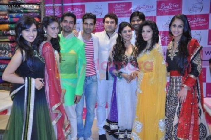 hpse_normal__3671898605_Krystle D’Souza, Sukirti Kandpal , Divyanka Tripathi, Asha Negi, Rajesh Kuma