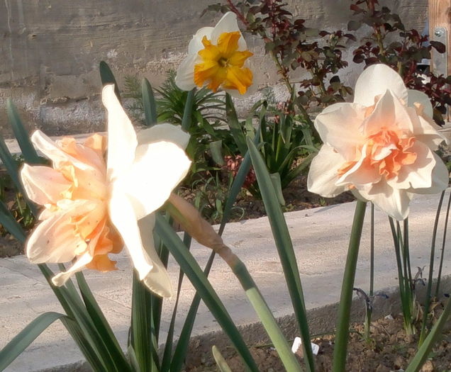 2014-04-09