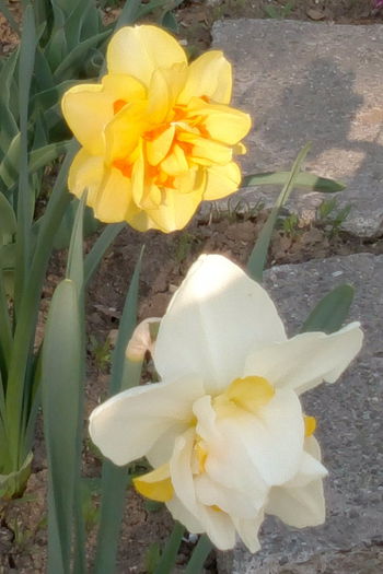 2014-04-09