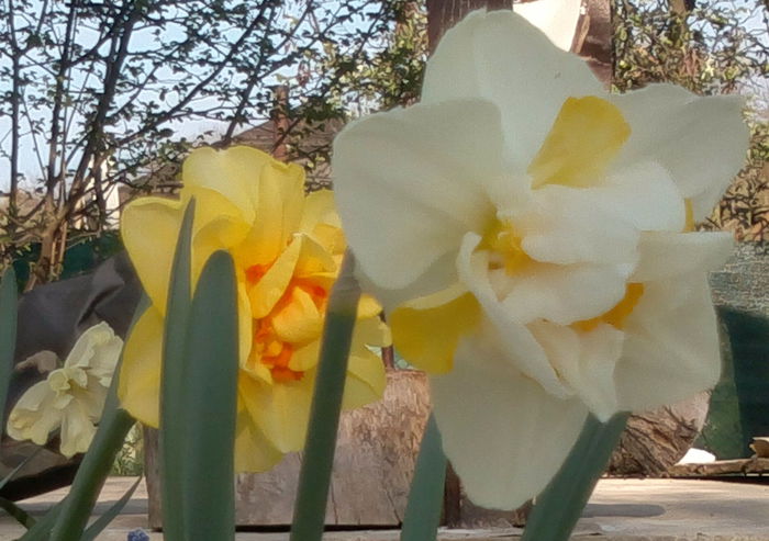 2014-04-09