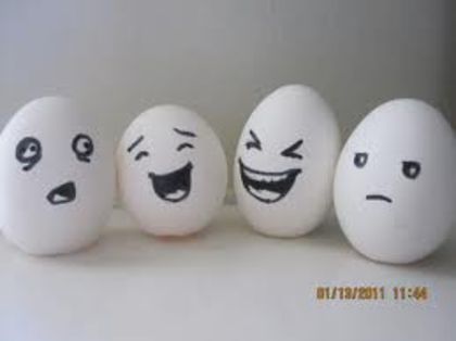 images (3) - Funny eggs