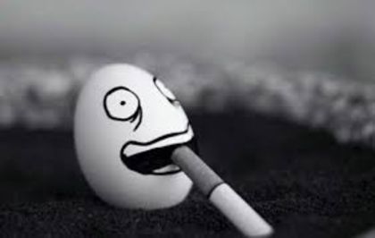 images (7) - Funny eggs