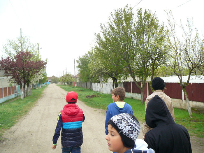 P1530554 - 2014_Scoala_altfel_luni