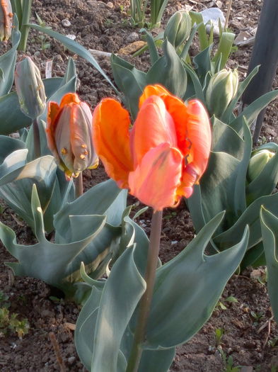 2014-04-09-3944
