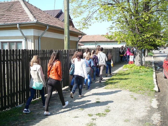 P1530671 - 2014 Scoala_altfel_marti