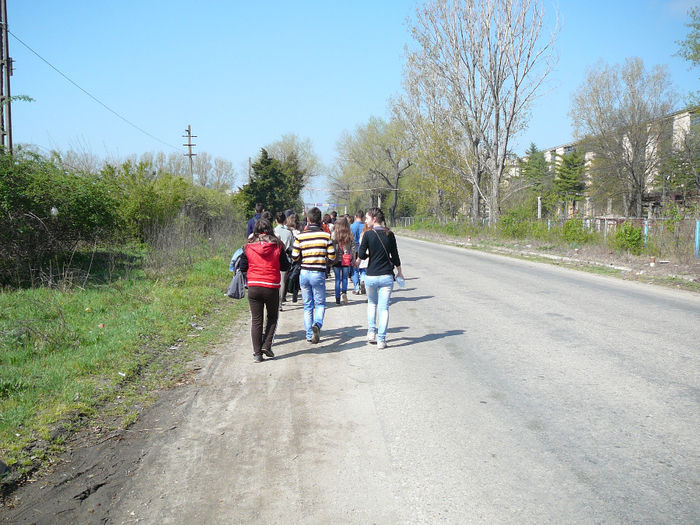 P1530681