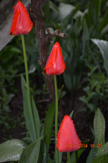DSC_0045