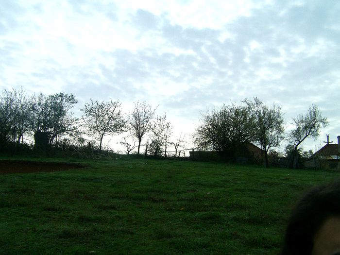 IMAG0721