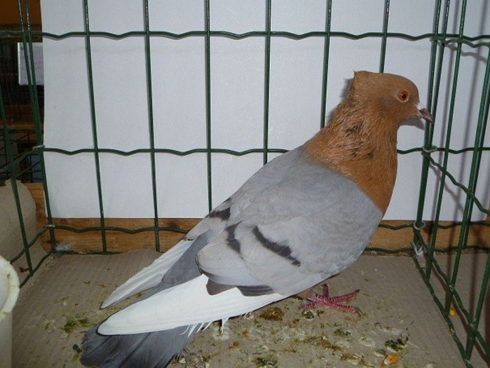 473