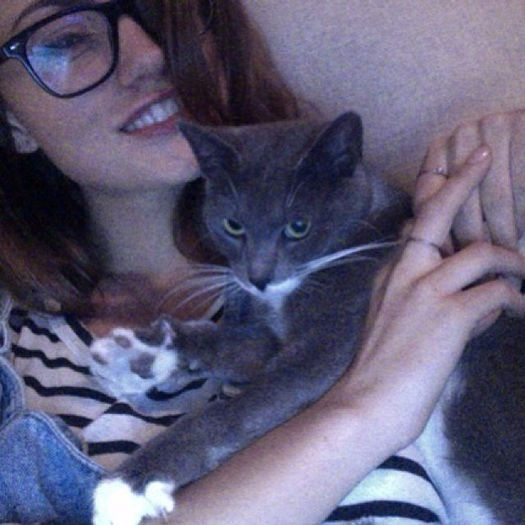 Ma jucam cu pisica Elenei. Voi?