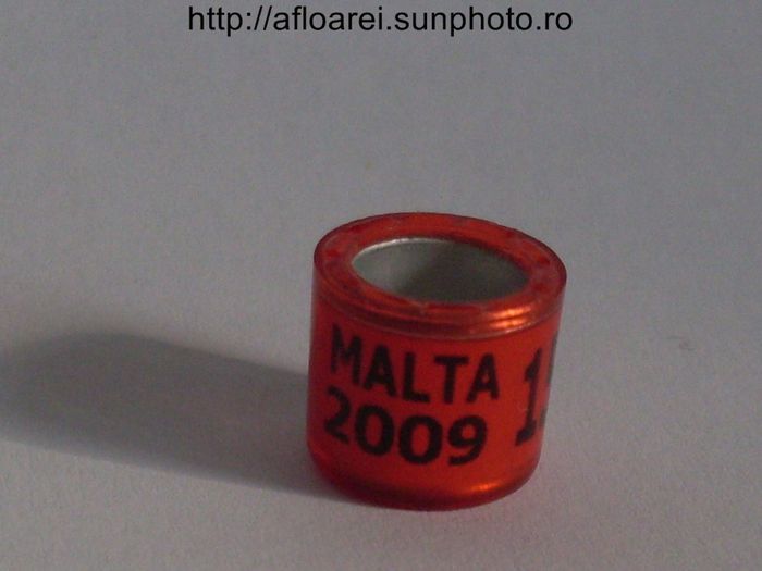 malta 2009 - MALTA