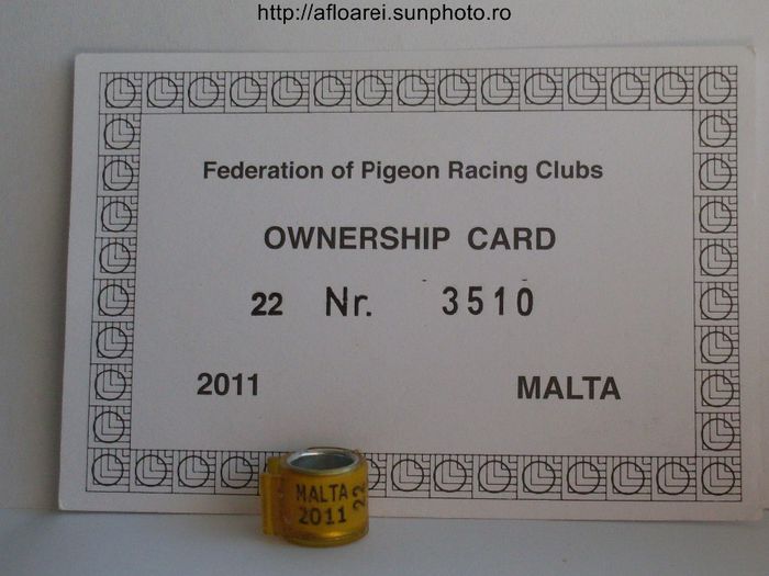MALTA 2011 - MALTA