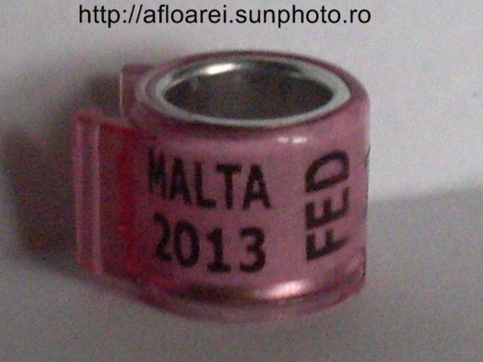 malta 2013 fed - MALTA