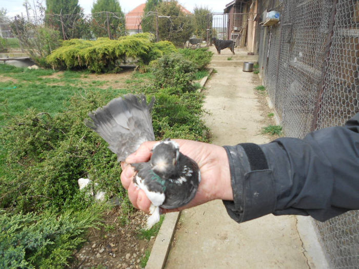 Copy of DSCN1212; JUC. DE BALTI
