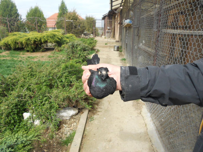 Copy of DSCN1215; JUC DE BALTI
