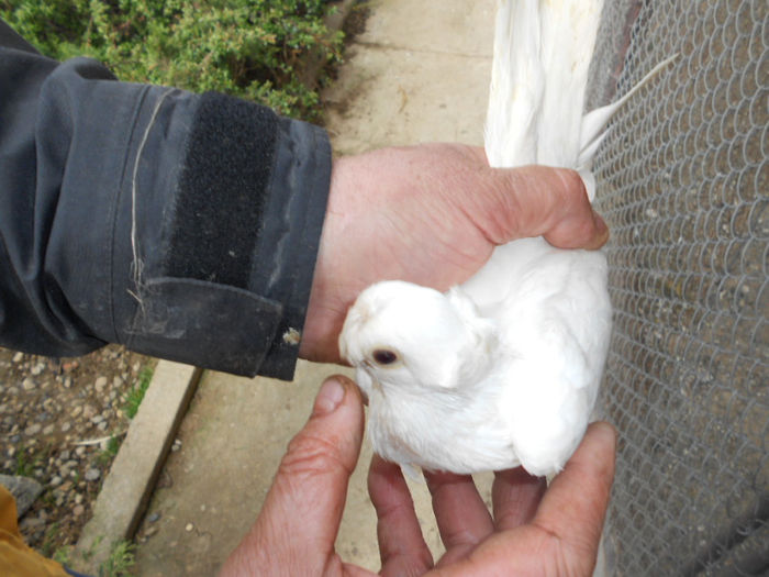 Copy of Copy of DSCN1209