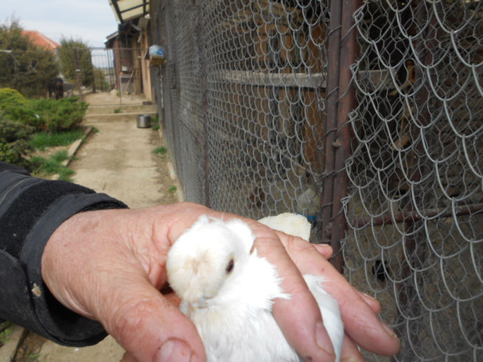 Copy (2) of Copy of DSCN1207