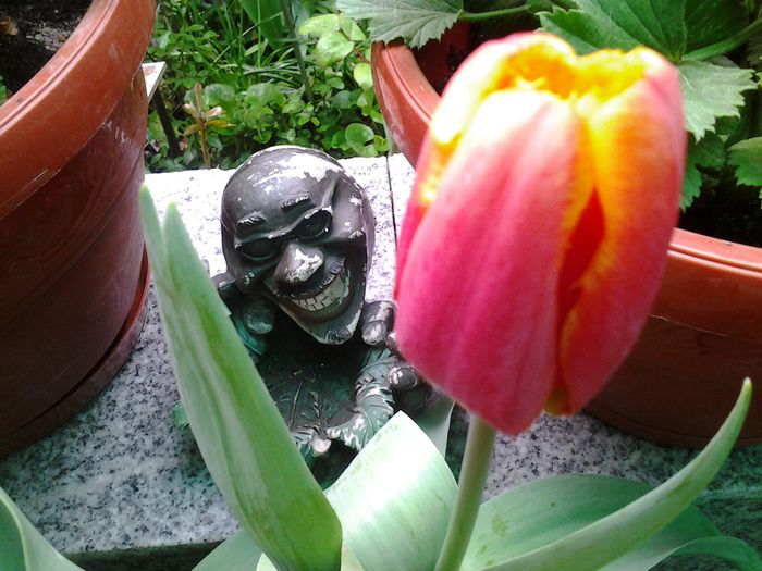 20140412_152208