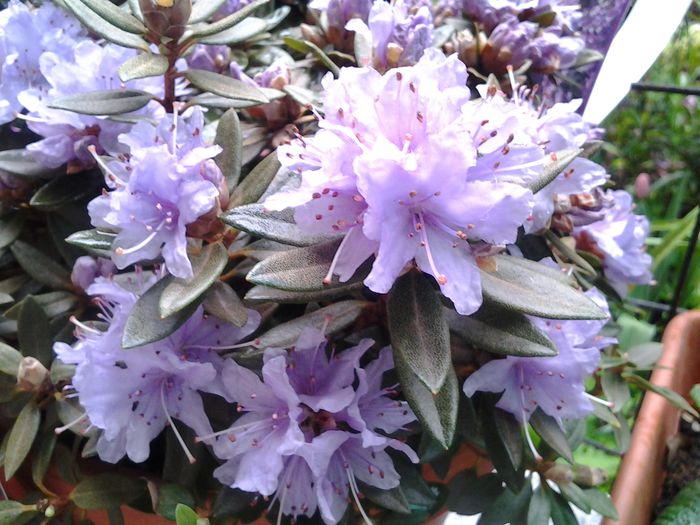 20140412_152222
