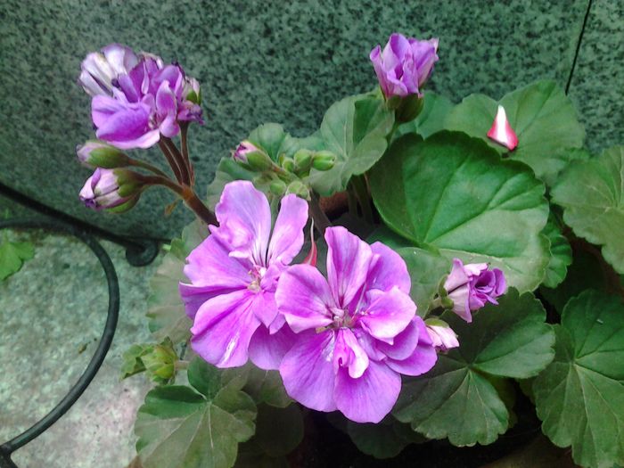 20140412_152632