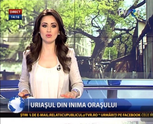 Dorina Florea Telejurnal TVR 1