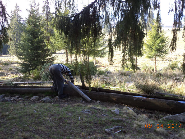 Curatam putin troaca