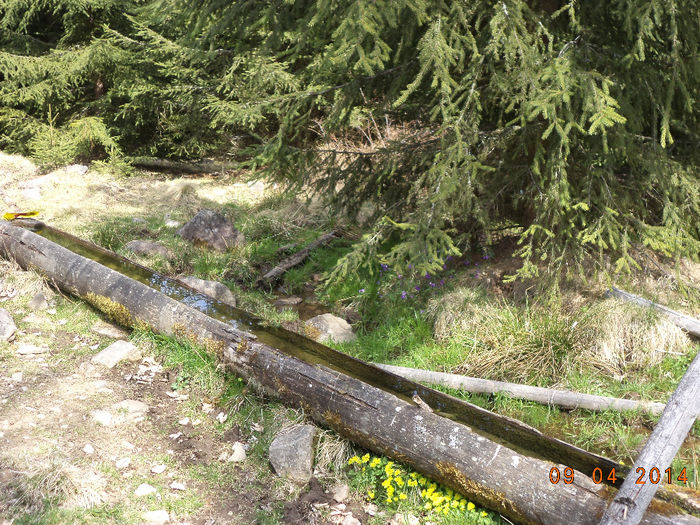 Izvorul de la radacina paltinului; Sa aiba bucurestenii asa apa,,,,,
