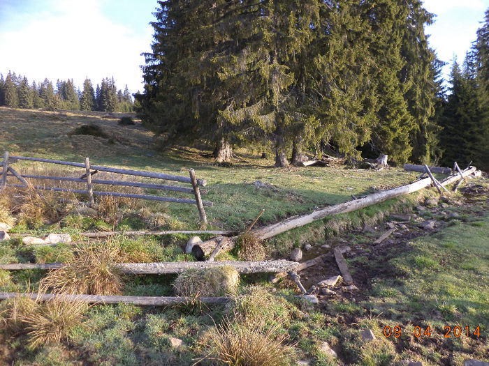 Izvorul din capatul pasunii