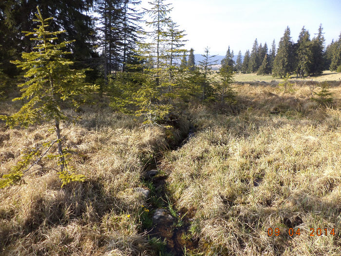 Izvorul rece ca gheata