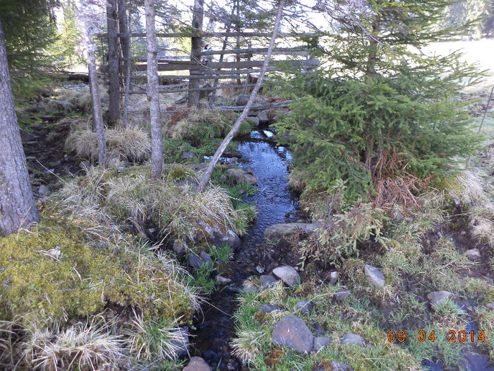 Izvorul rece si bun-1