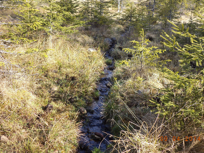 Izvorul rece si bun de baut