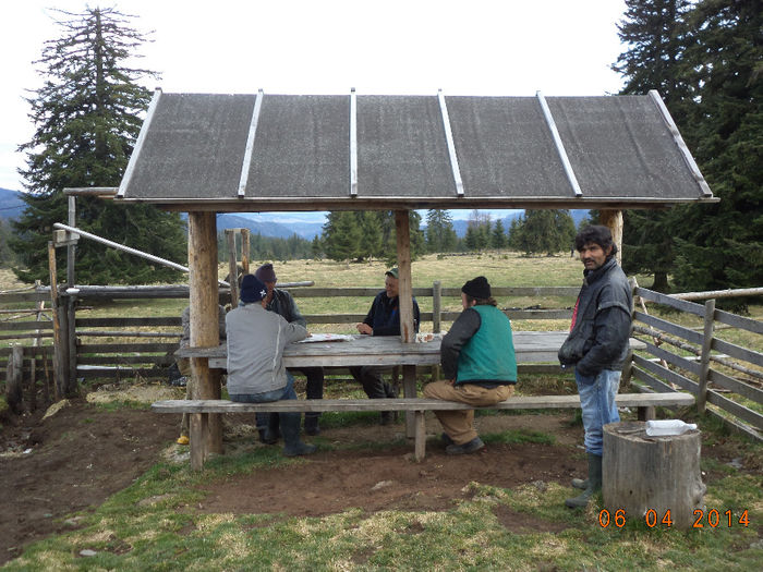 La masa langa stana - La curatat de pasune in Calimani-2014