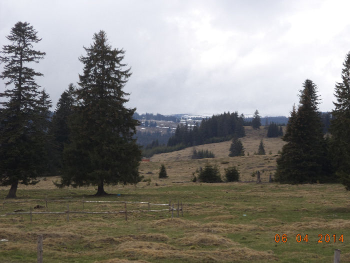 Mai este zapada  pe varful Retitis-Calimani