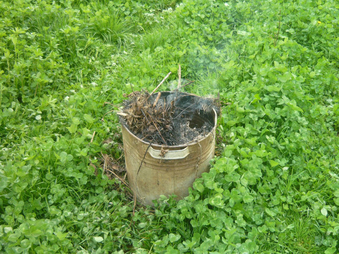 P1050399; fumigene  contra ingetului
