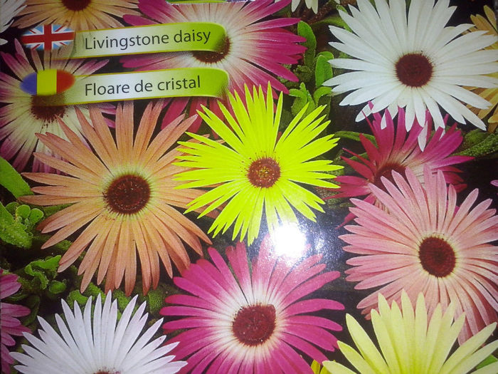 floare de cristal